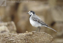 С хорошим фото и жить охота! С хорошим фото и жить охота!