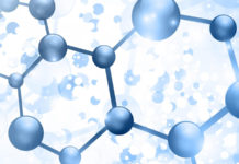 Почему важен морской коллаген Почему важен морской коллаген