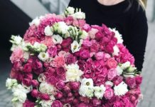 Почему важно заказывать цветы и растения в компании «Диантус» Почему важно заказывать цветы и растения в компании «Диантус»