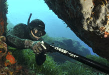 Как оружие для подводной охоты выбрать? Как оружие для подводной охоты выбрать?