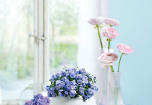 Виды цветочных горшков и какой выбрать самостоятельно Виды цветочных горшков и какой выбрать самостоятельно