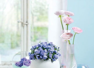 Виды цветочных горшков и какой выбрать самостоятельно Виды цветочных горшков и какой выбрать самостоятельно