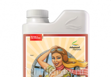 Как выбрать удобрения для растений Как выбрать удобрения для растений