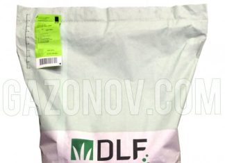 «Зеленые инновации: Какие новые технологии помогают улучшить состояние газонов в Москве.»