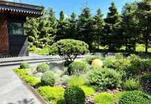 Озеленение территории офиса МЦК-С: создавая комфортную среду