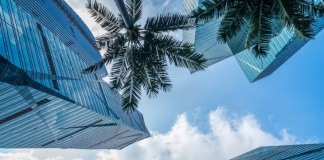 ОАЭ в феврале: комфортный отдых и идеальная погода