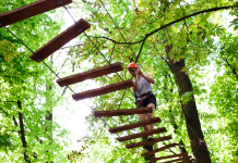 Как устроен веревочный парк: из чего состоят трассы и задания